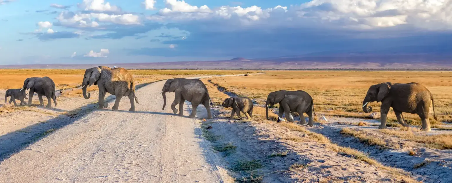 Samburu National Reserve