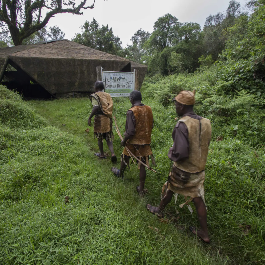 A Batwa guide leading a walk through the forest near Bwindi