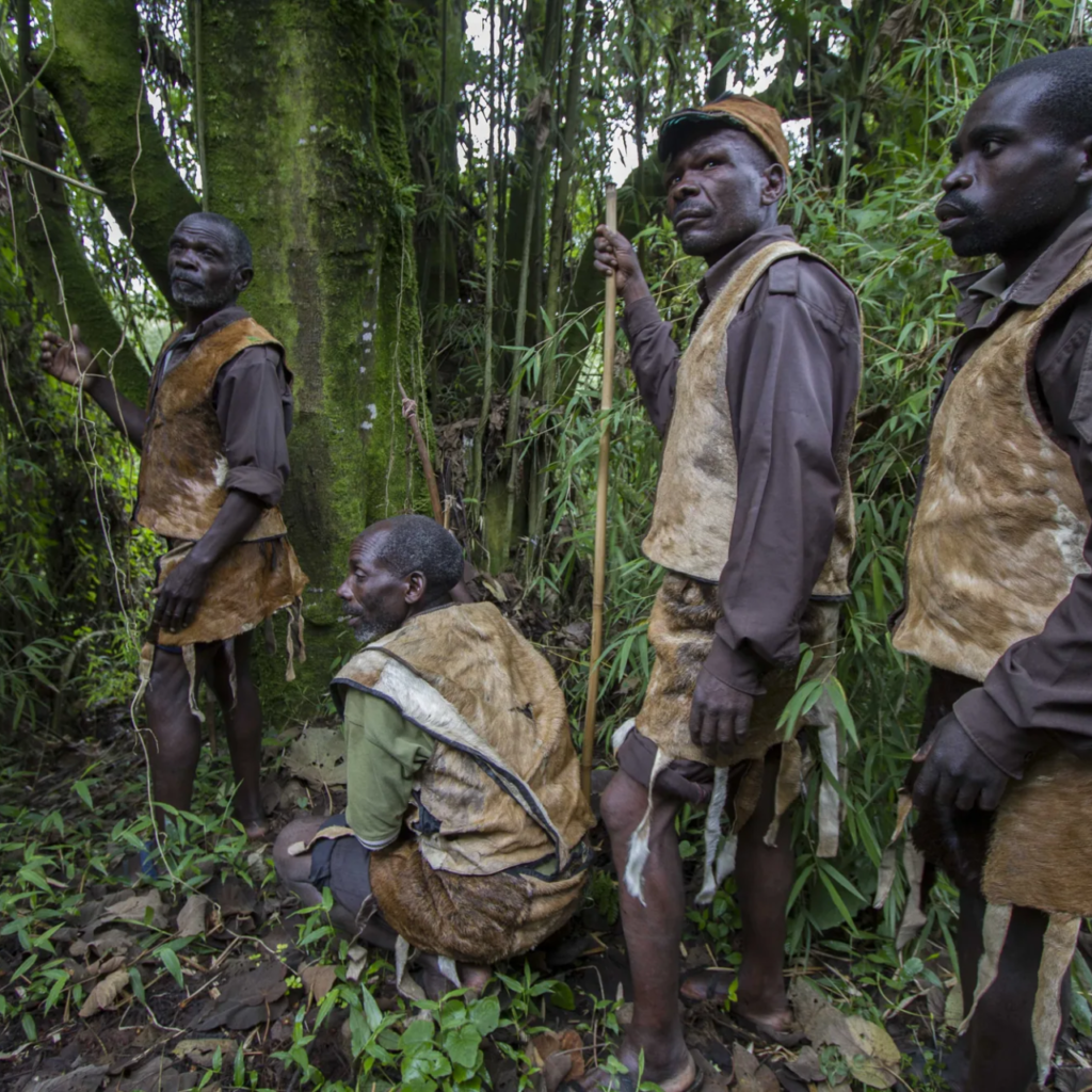 Forest walk, Uganda