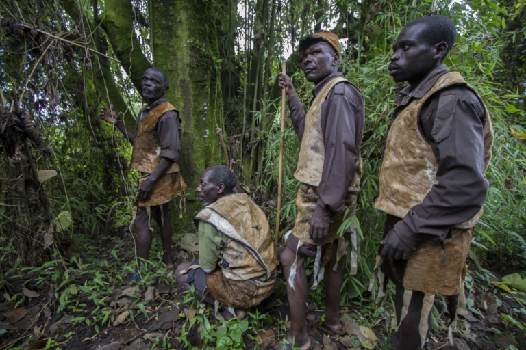 Forest walk, Uganda