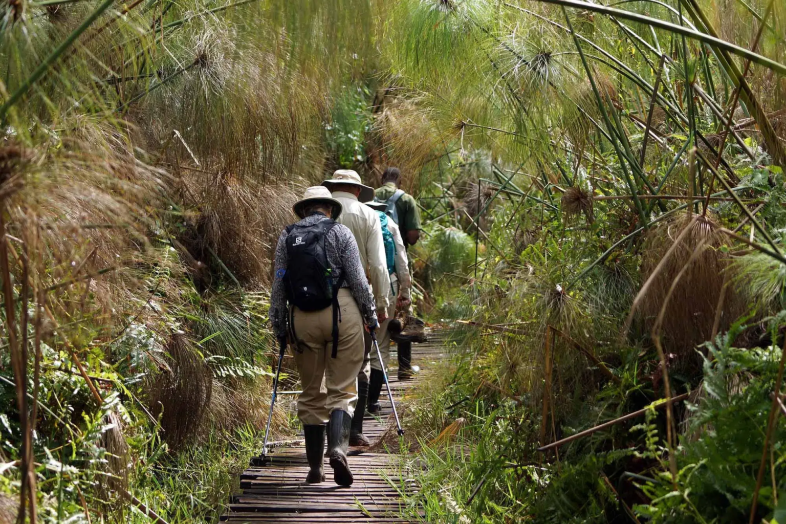 Bigodi Wetland Sanctuary