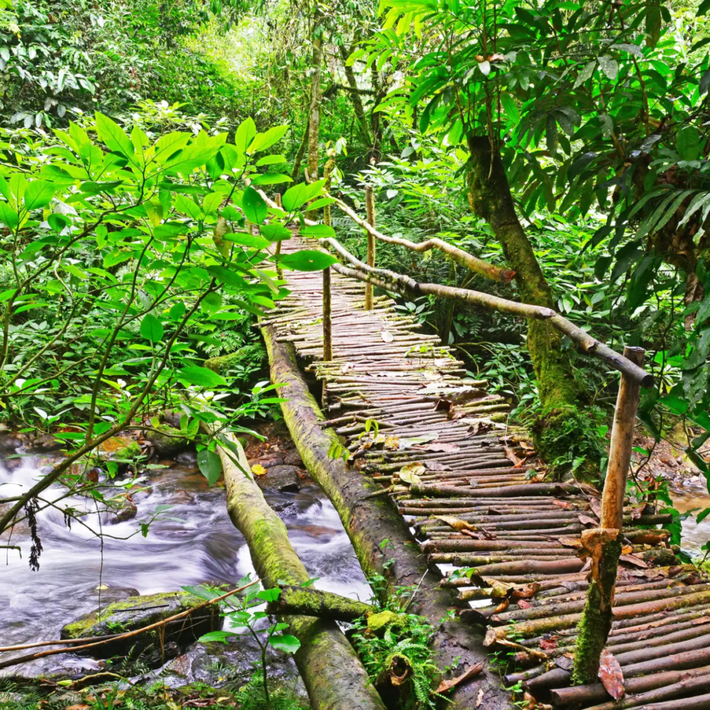 12 Day Uganda Discovery Journey