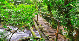 12 Day Uganda Discovery Journey