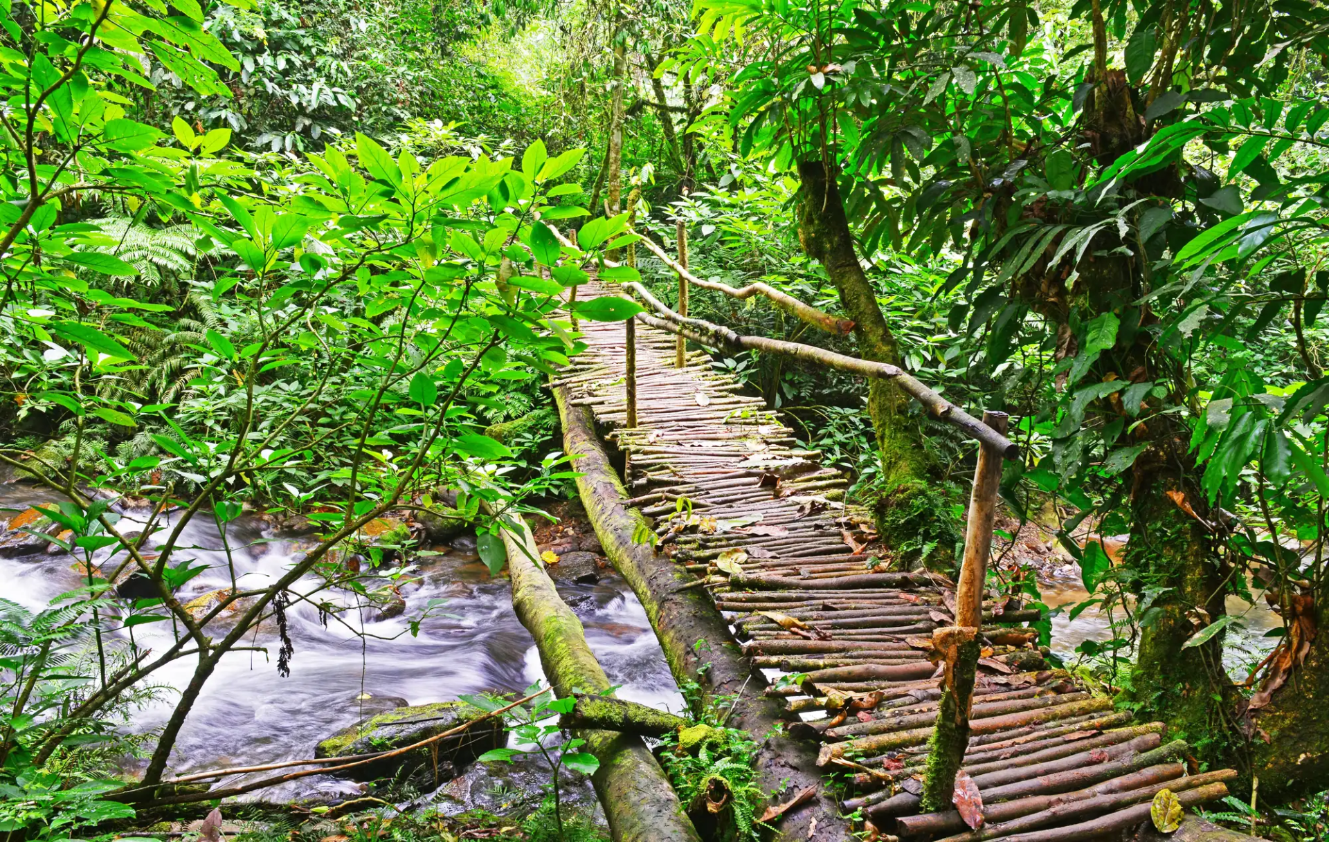 12 Day Uganda Discovery Journey