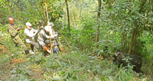 9 Day Crater to Gorilla Forest: Tanzania and Uganda