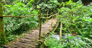 17 Day Uganda and Rwanda Grand Primate Circuit