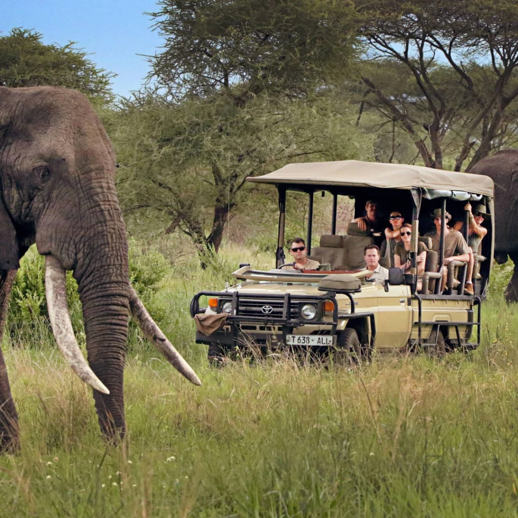 10-Day Tanzania Safari & Zanzibar Beach Escape