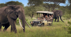 10-Day Tanzania Safari & Zanzibar Beach Escape