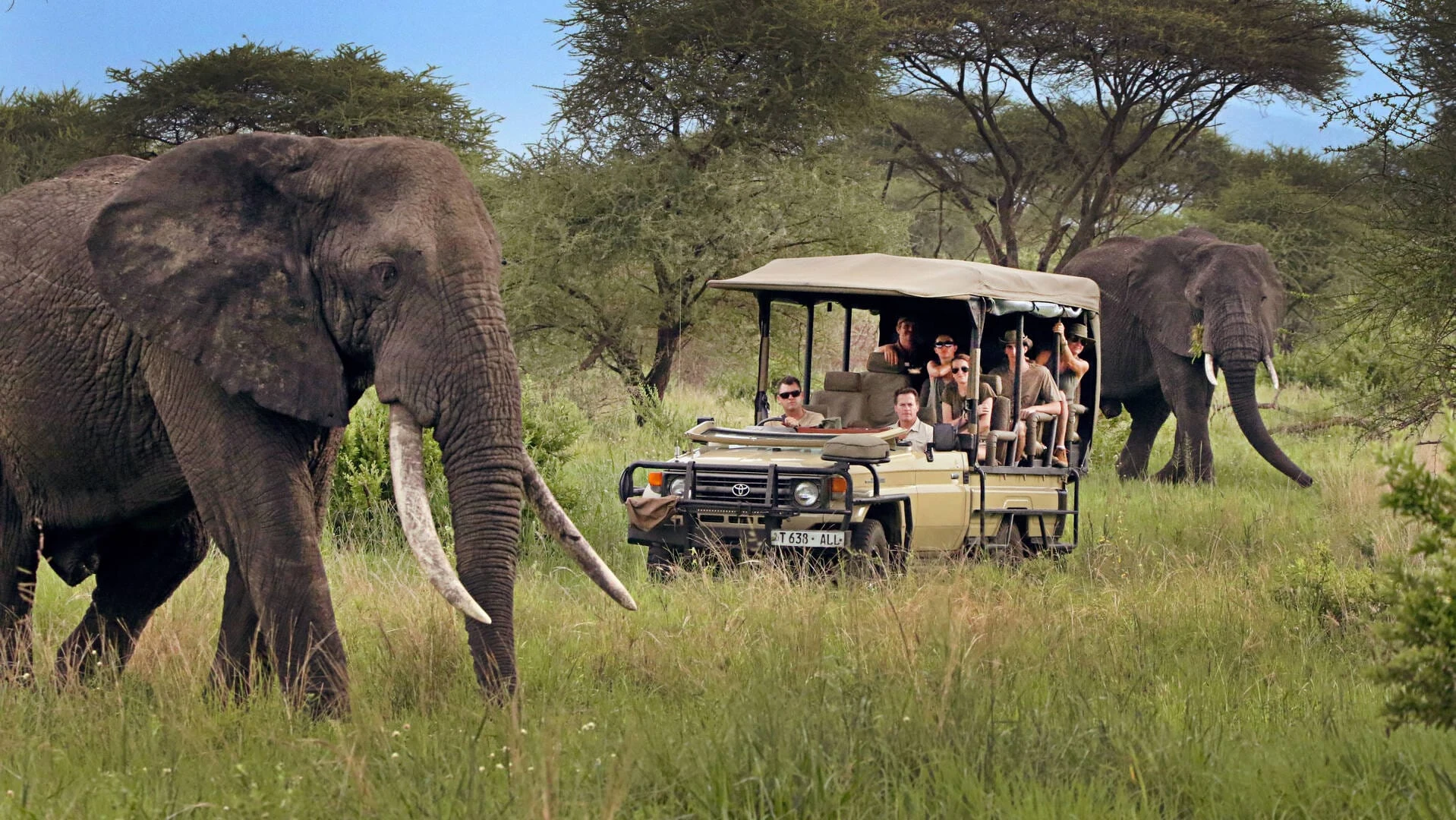 10-Day Tanzania Safari & Zanzibar Beach Escape