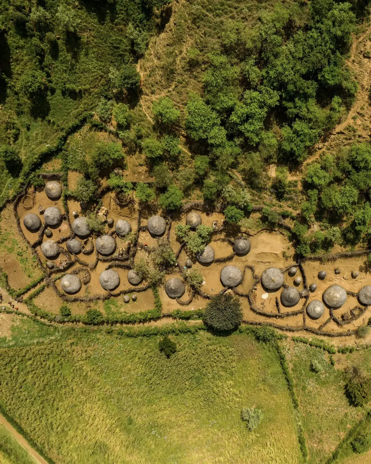 Kaabong