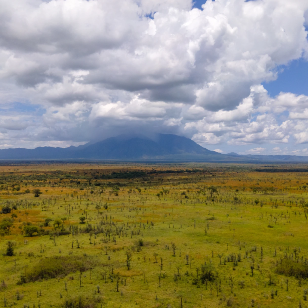Uganda