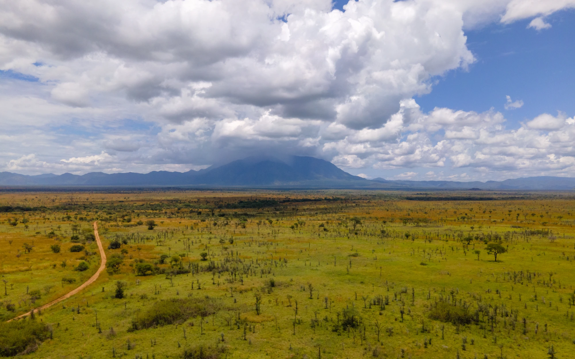 10-Day Uganda Kidepo, Karamoja & Mount Elgon Safari
