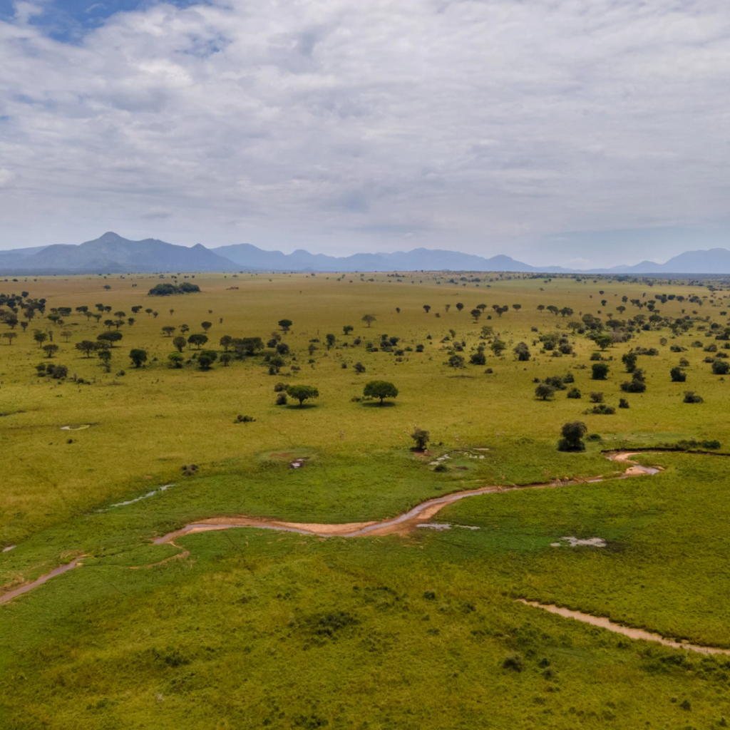 Remote Wilderness Landscapes