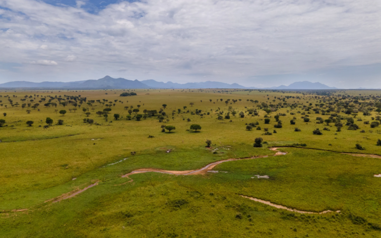 Remote Wilderness Landscapes