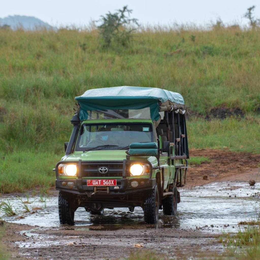 Game Drives