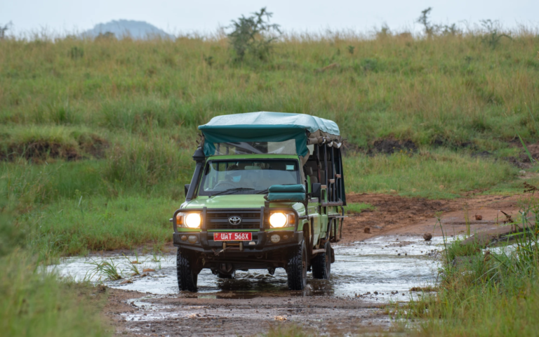 Game Drives