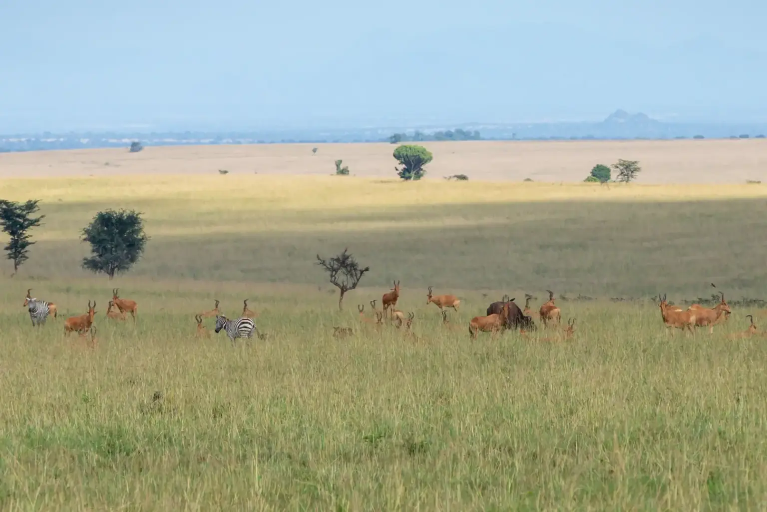 Bokora Wildlife Reserve