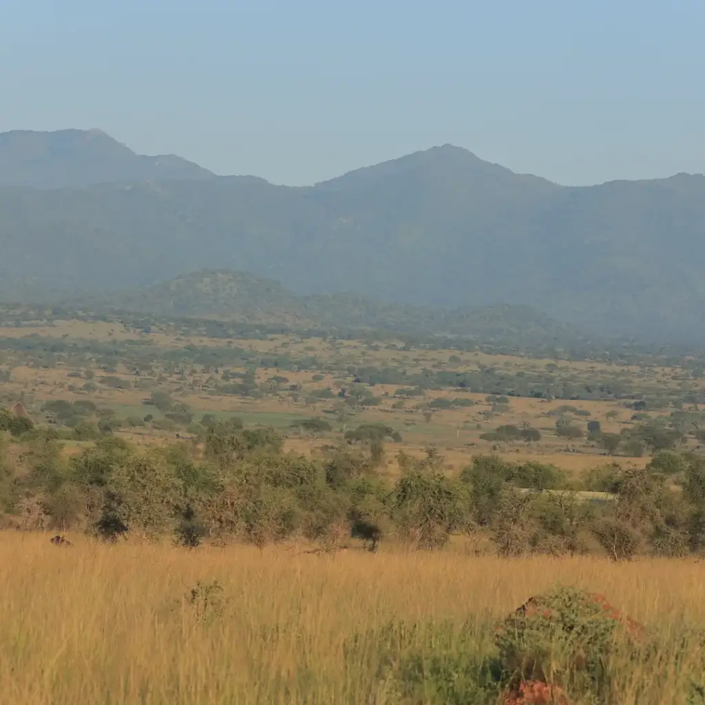 10 Day Uganda Wild and Cultural Wonders