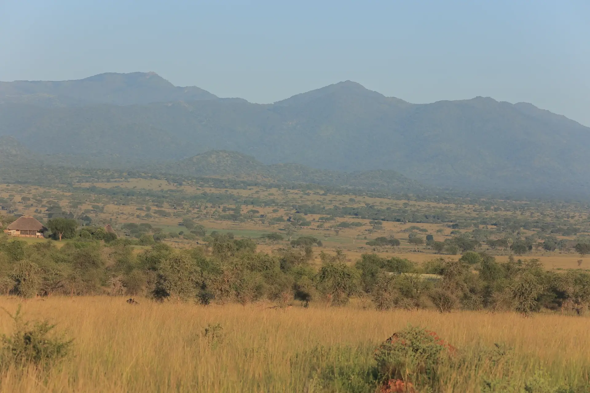 16 Day Karamoja to Gorillas Grand Uganda Safari