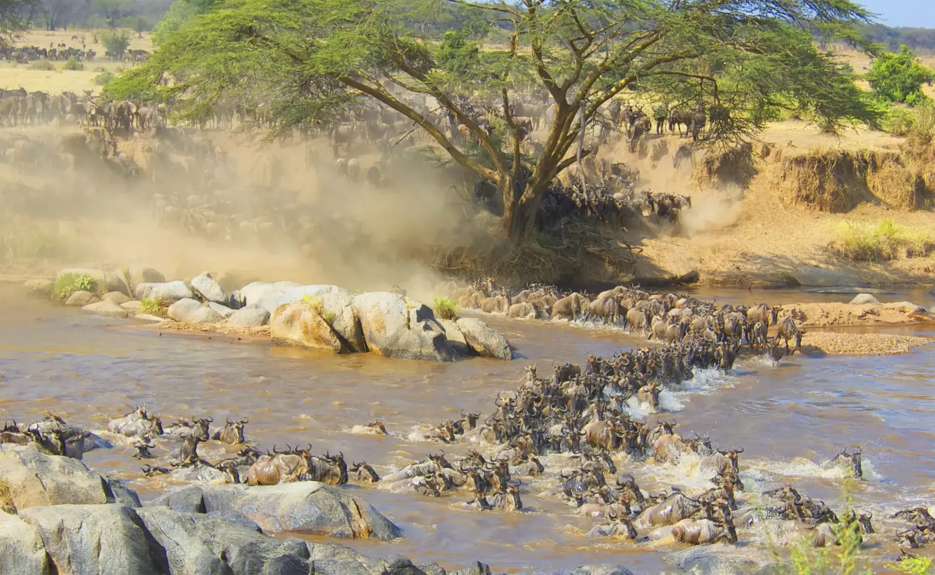 12 Day East African Classics: Kenya and Tanzania