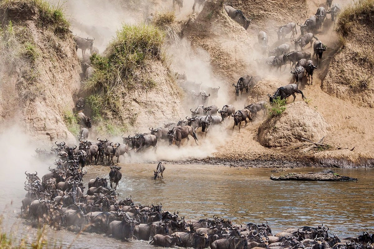 5-Day Kenya Maasai Mara Migration Safari