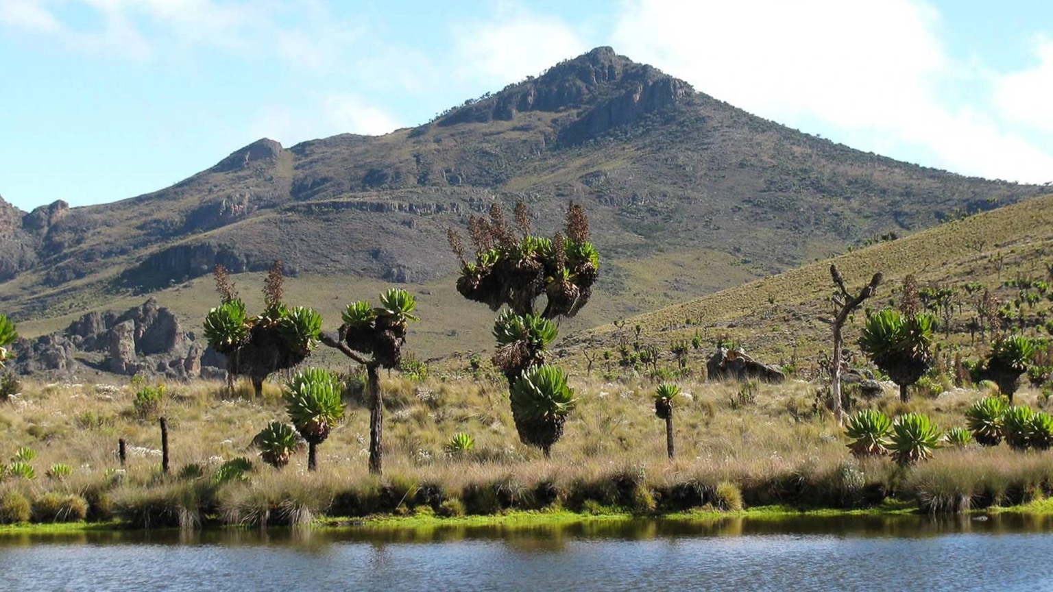 Mount Elgon Hiking Trails