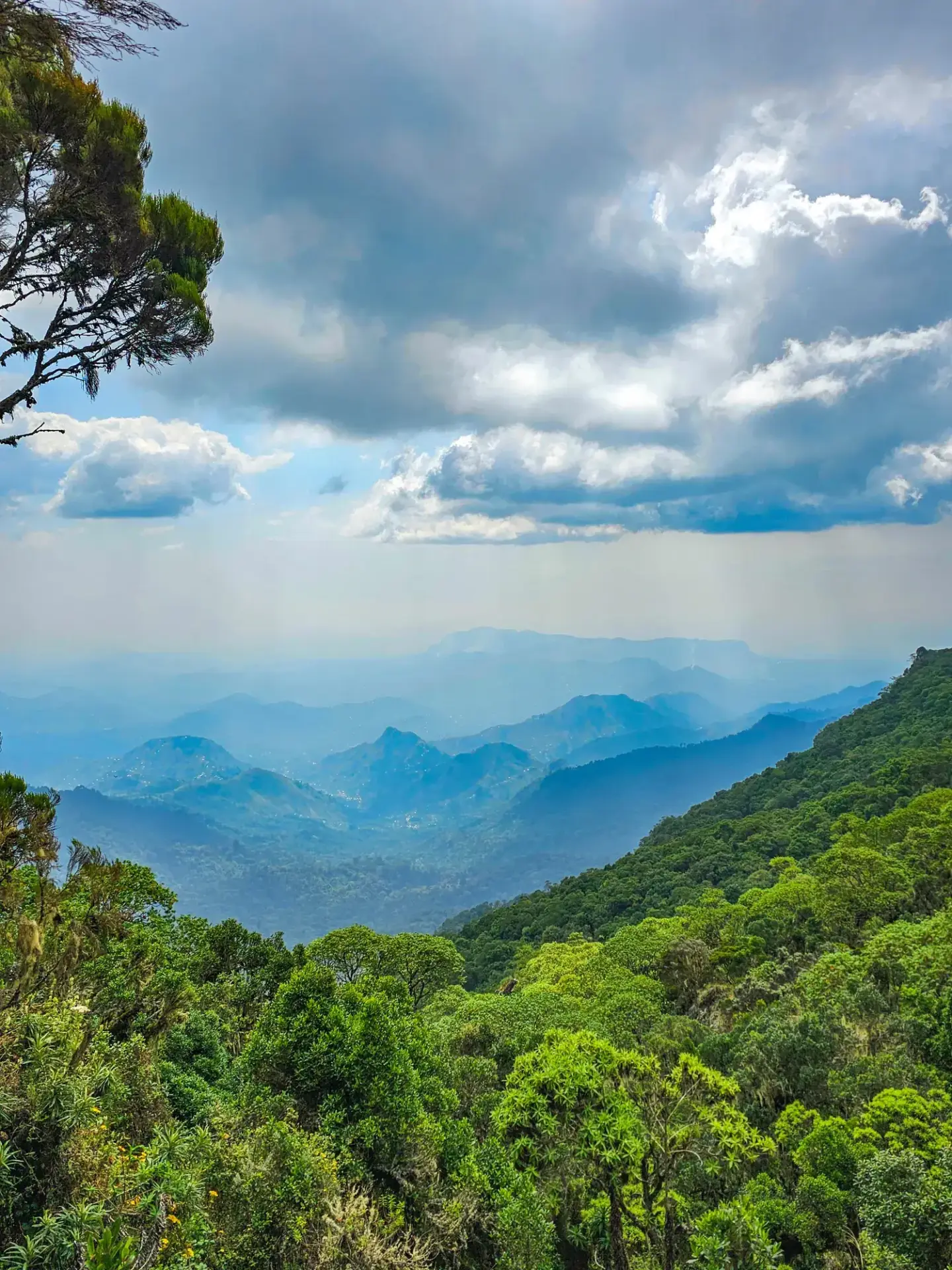 6 Day Mount Elgon Caldera Hike