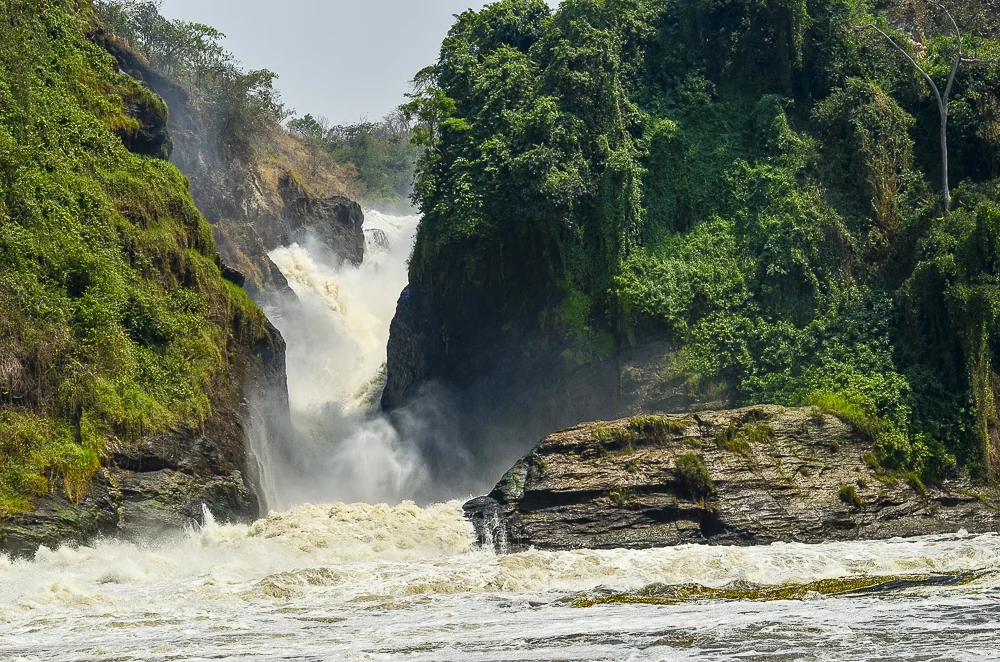 15 Day Uganda Grand Wildlife Expedition