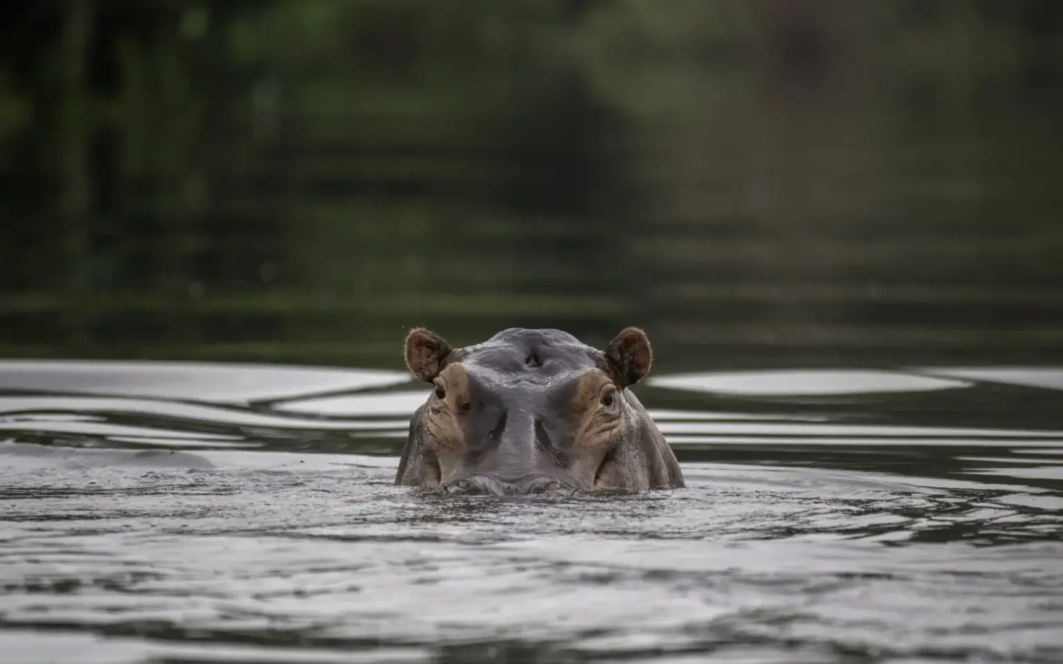 Okavango Delta