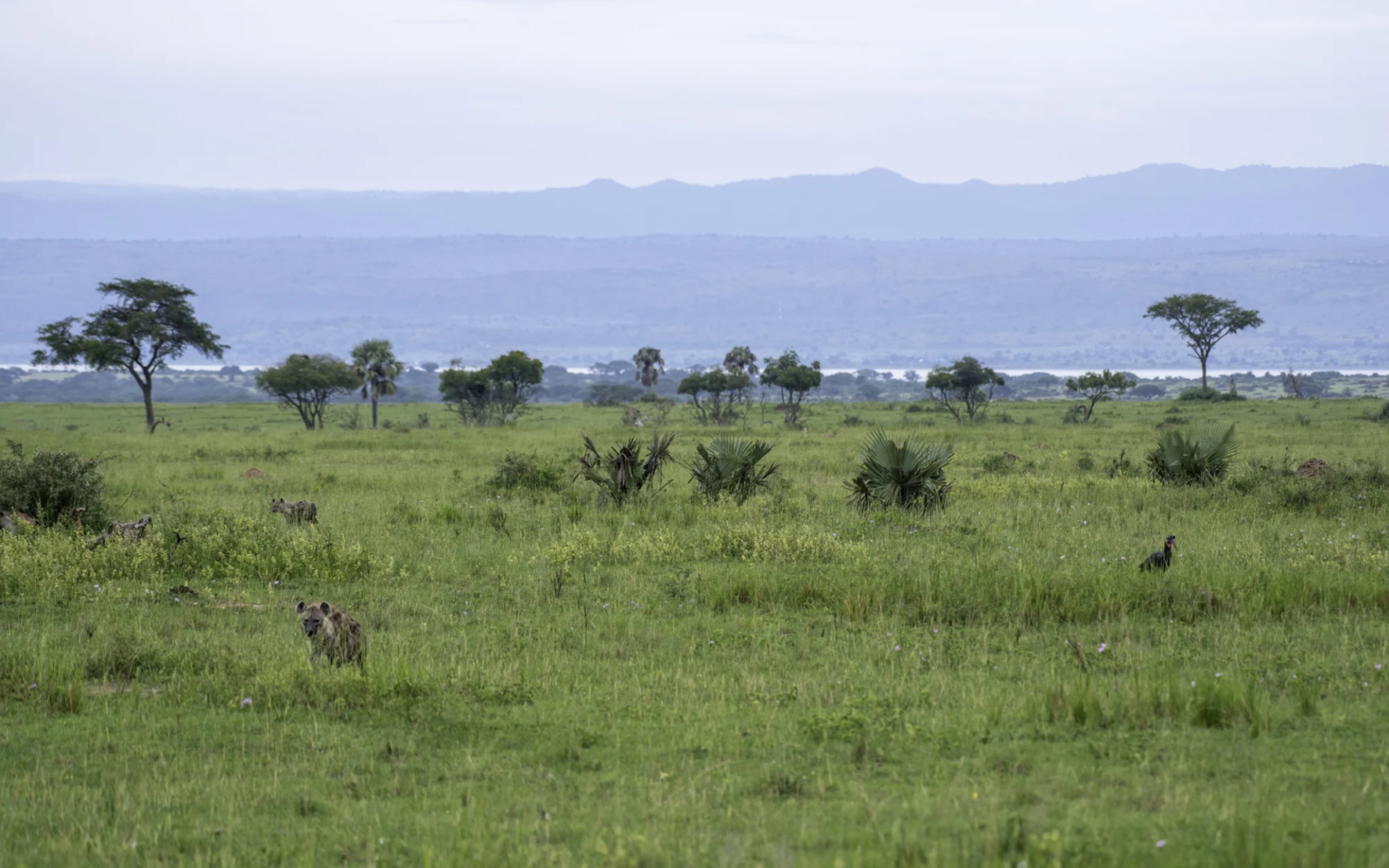 Bugungu Wildlife Reserve
