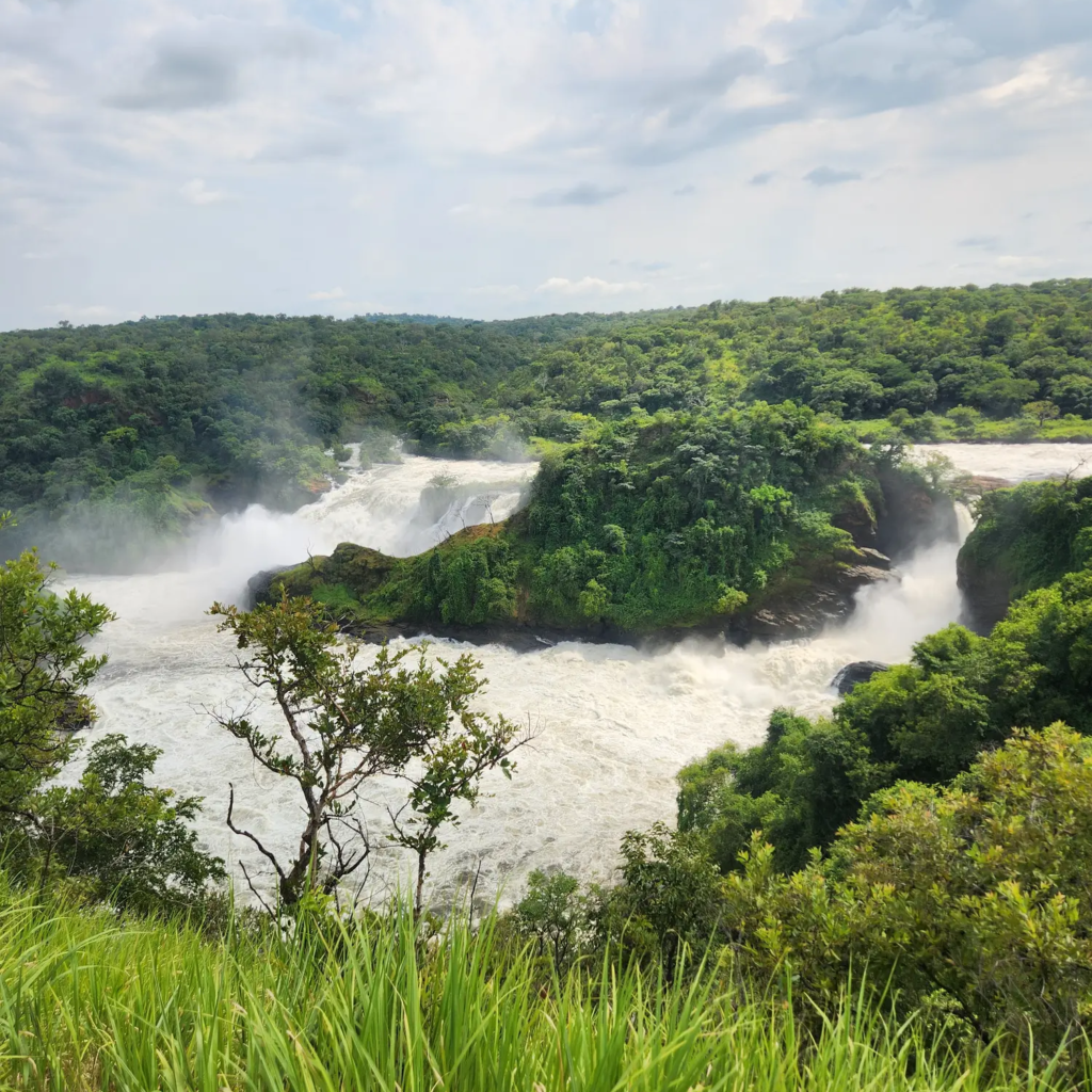 The Victoria Nile surging through the gorge below Murchison Falls