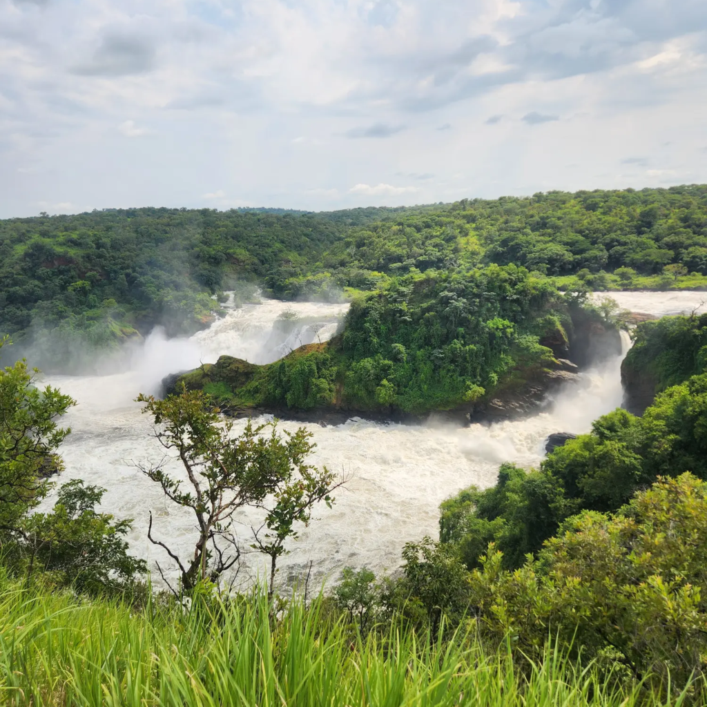 The Victoria Nile surging through the gorge below Murchison Falls
