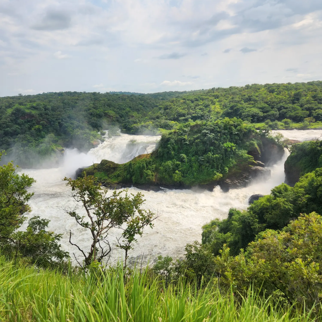 The Victoria Nile surging through the gorge below Murchison Falls