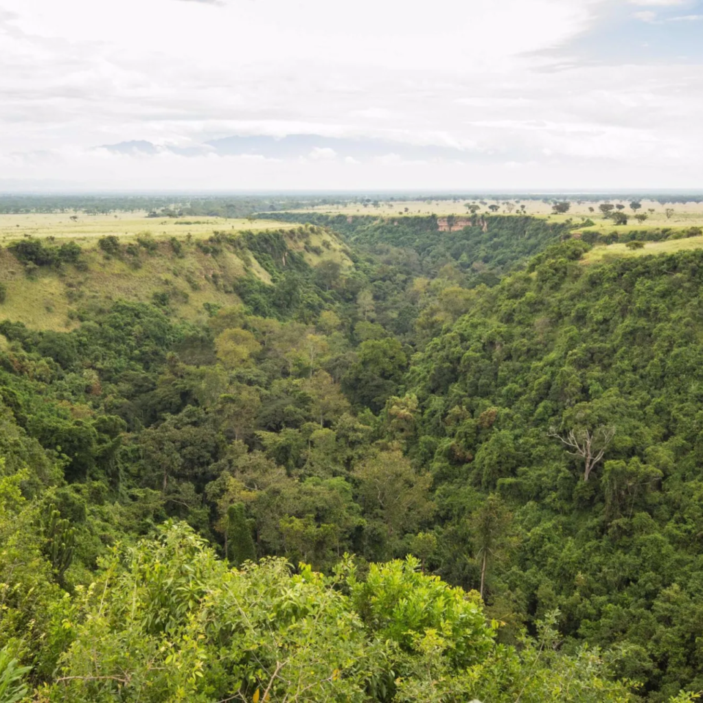 Kyambura Gorge, a forested rift near Queen Elizabeth National Park