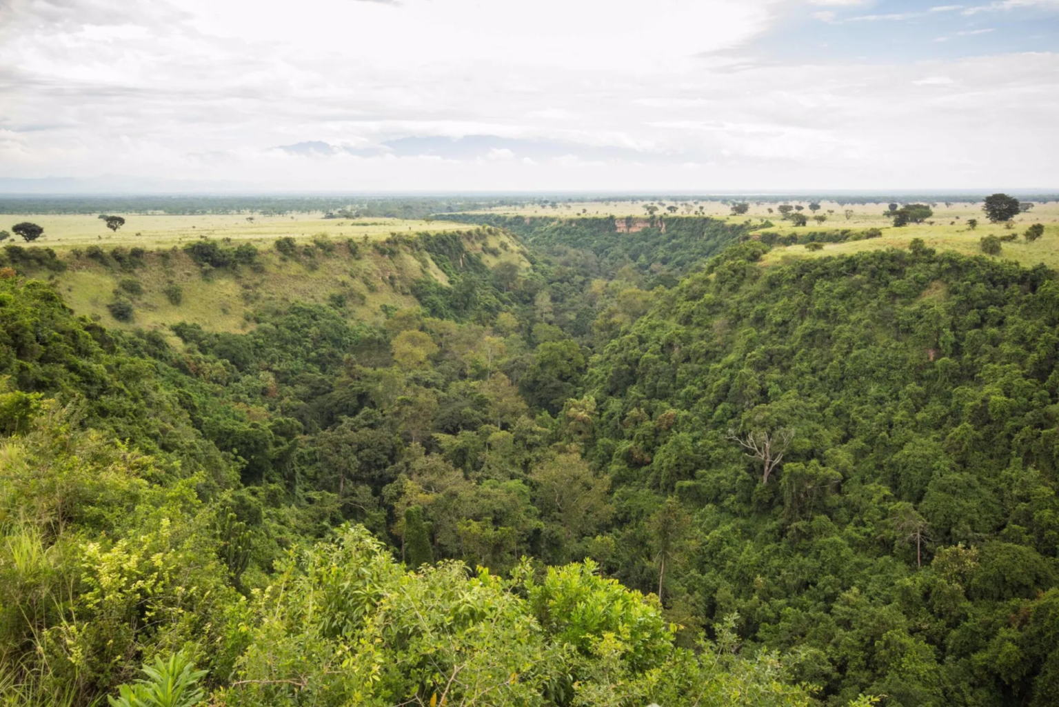 Kyambura Gorge