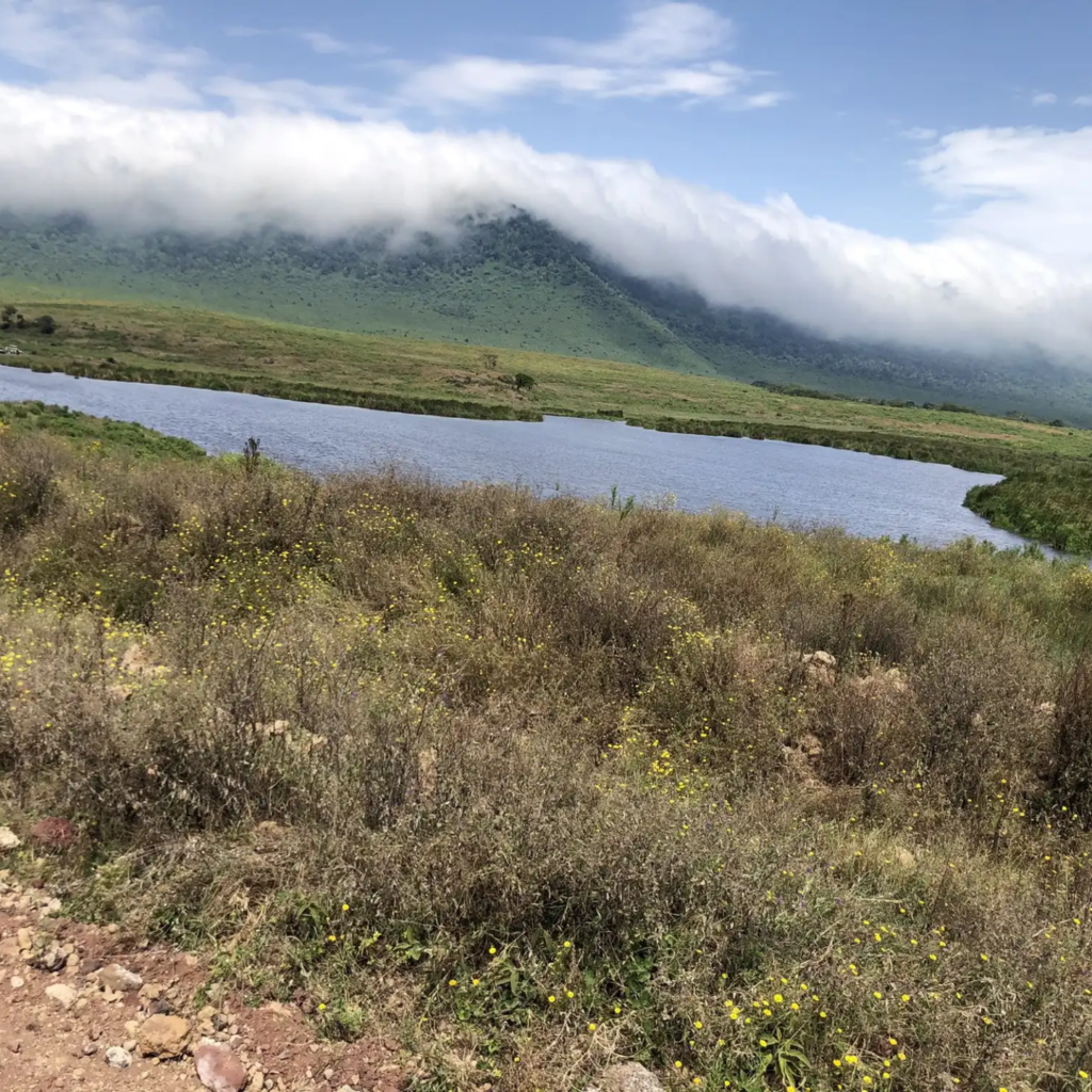 N053 rwanda landscapes.webp