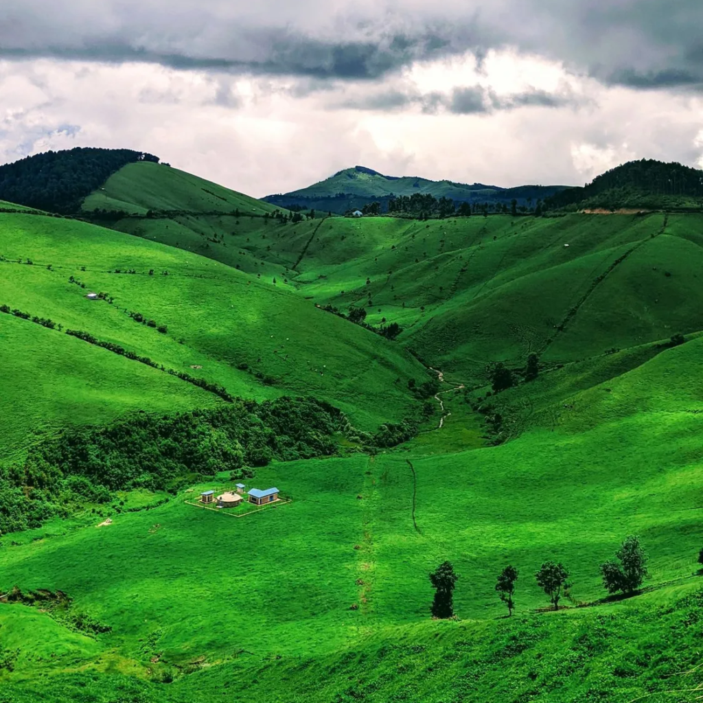 Hikers on green hills in the Volcanoes region of Rwanda