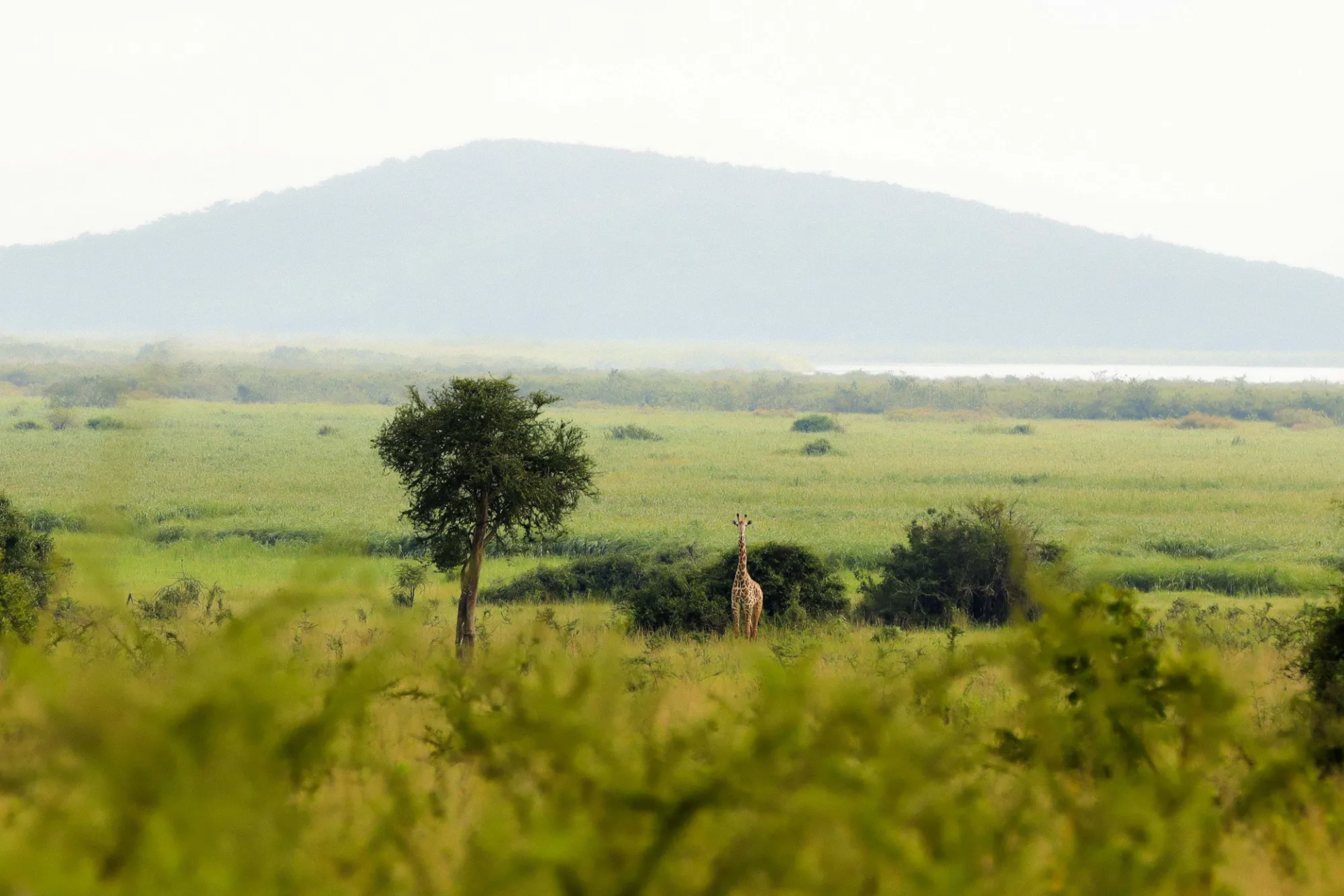 4-Day Rwanda Akagera Savannah Safari