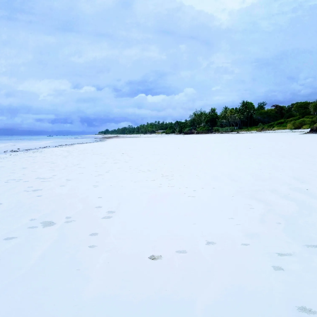 Beach on the East African coast