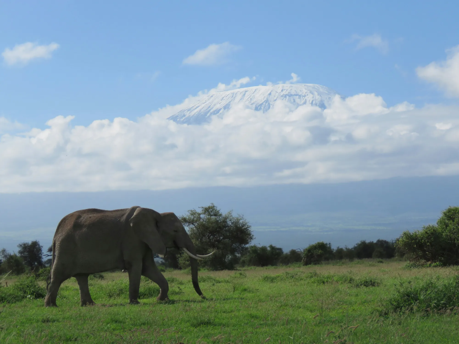 Amboseli National Park