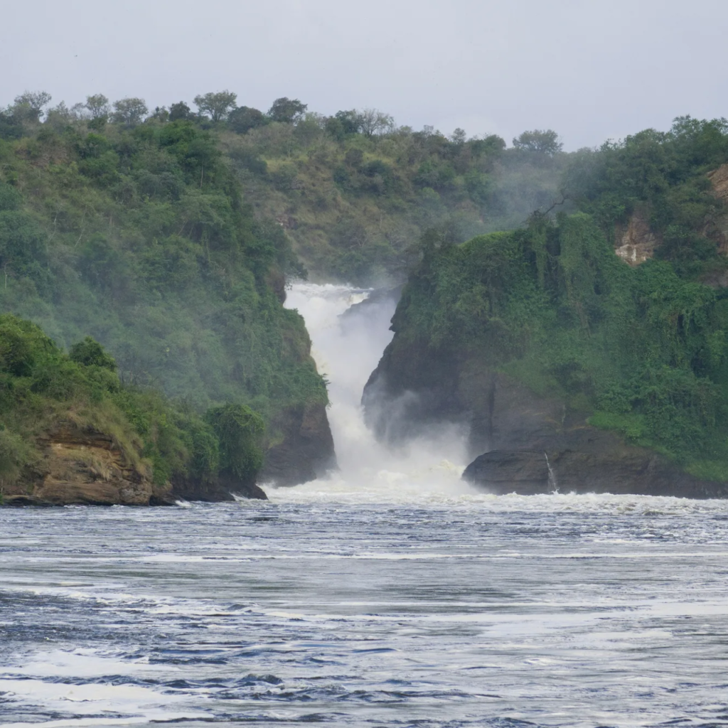 Murchison Falls plunging through the rock gorge into the Nile