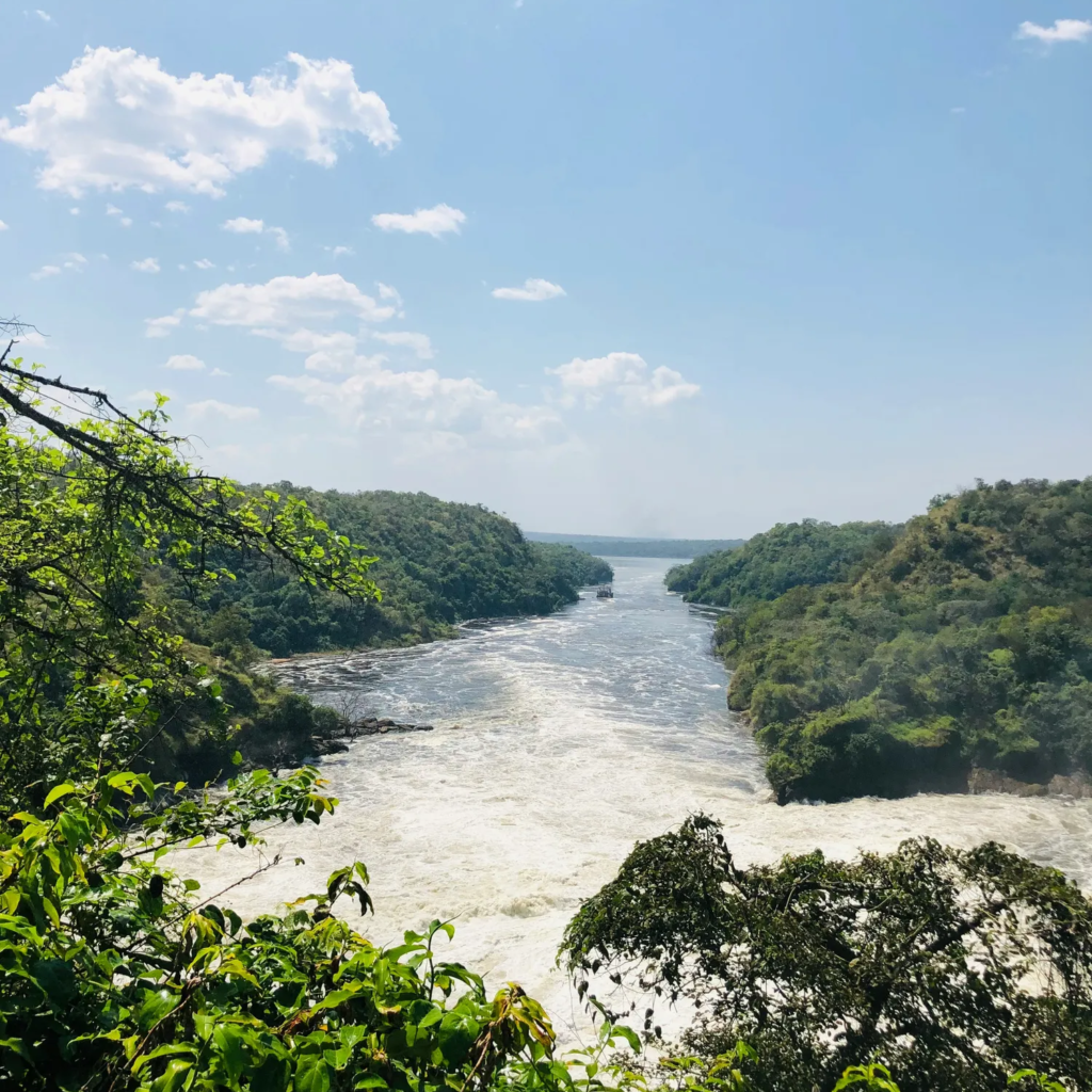 The Nile below Murchison Falls seen from the viewpoint