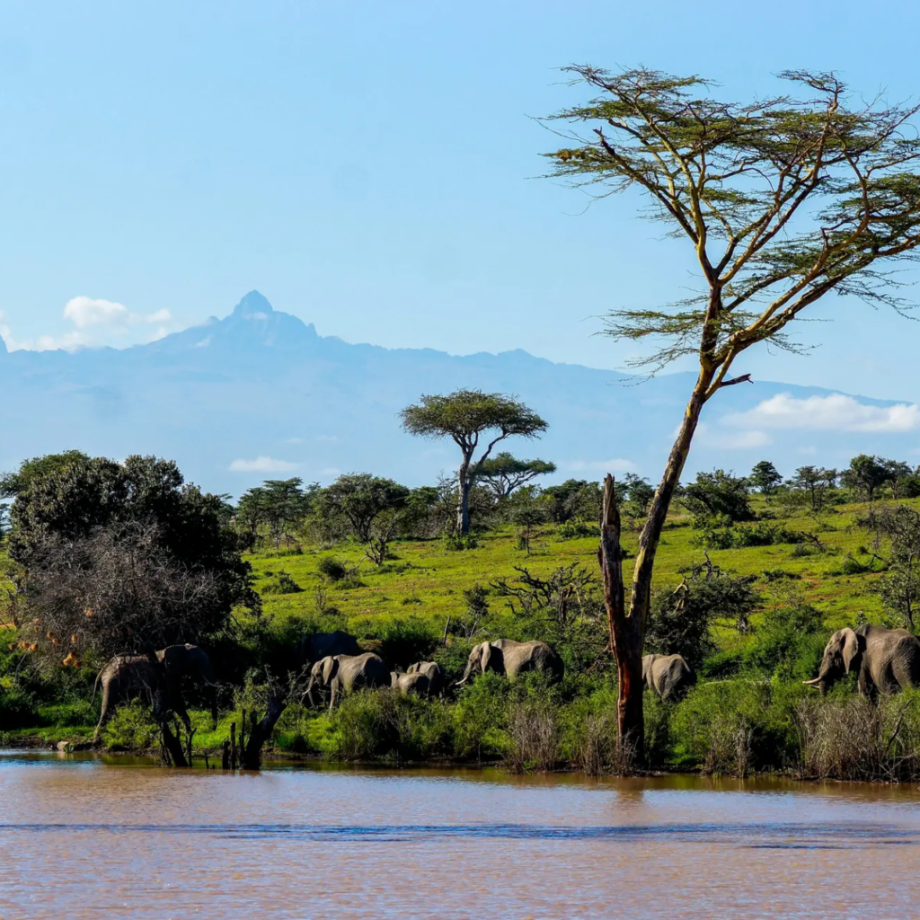 9-Day Kenya Conservancy & Coast Wellness Safari