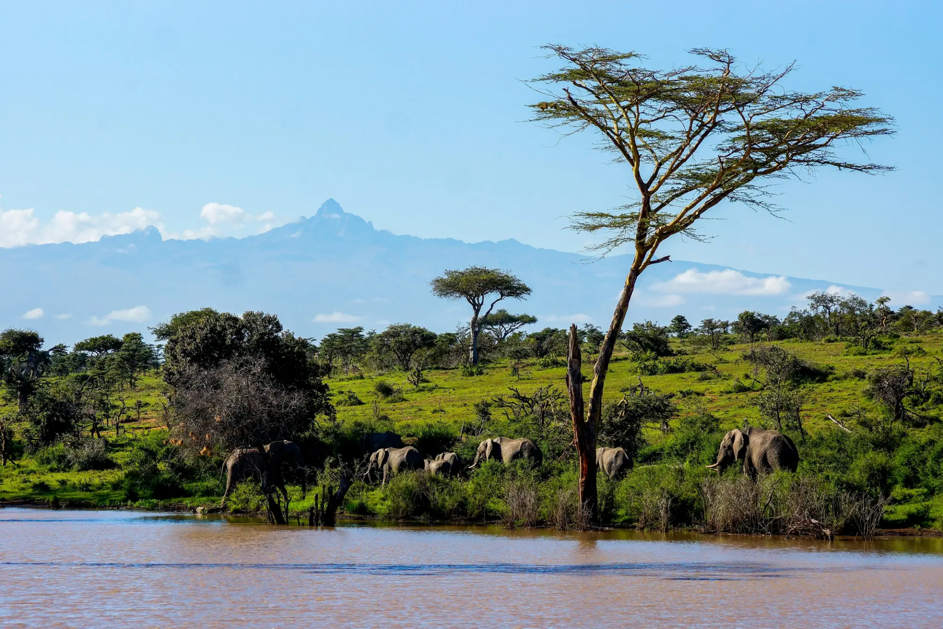 9-Day Kenya Conservancy & Coast Wellness Safari