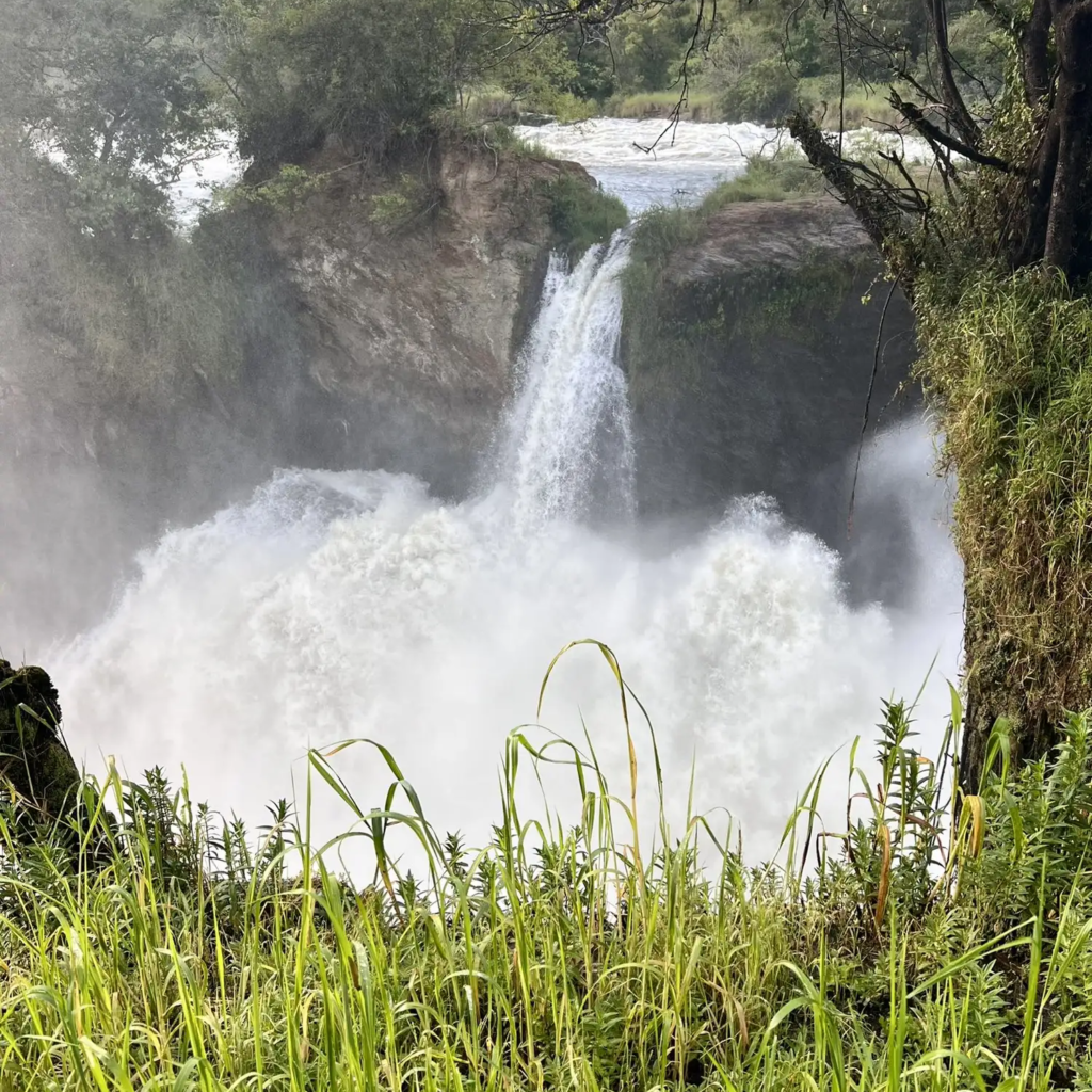 Murchison Falls and the Nile from the top of the falls
