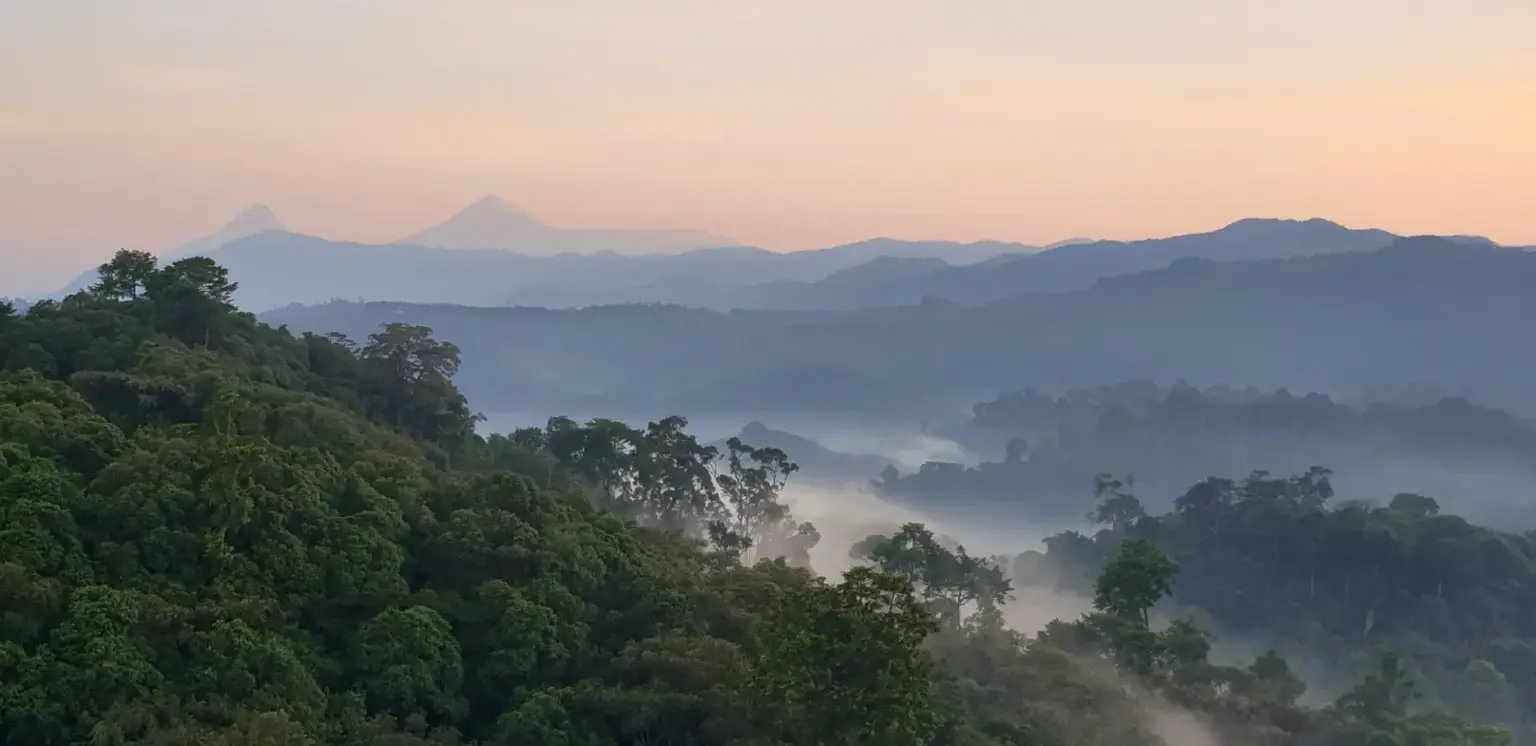 Mount Bisoke