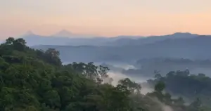 5-Day Rwanda Southern Heritage Safari: Nyanza & Huye