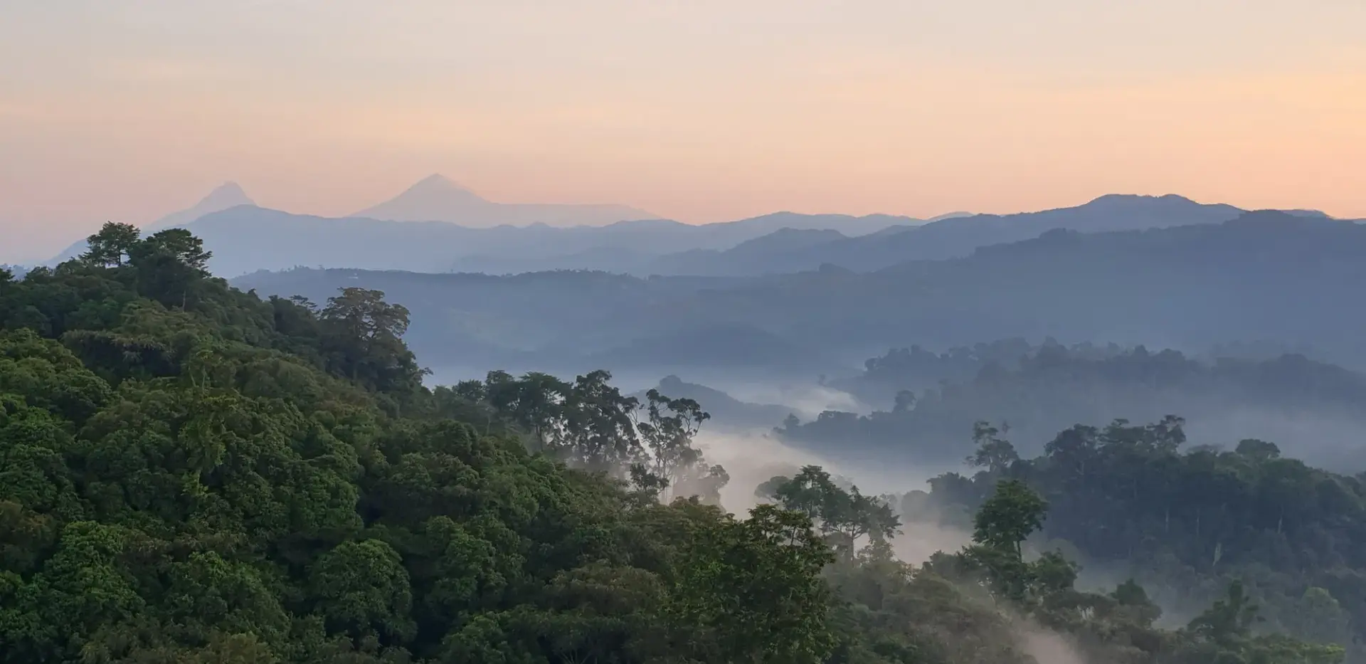 5-Day Rwanda Southern Heritage Safari: Nyanza & Huye