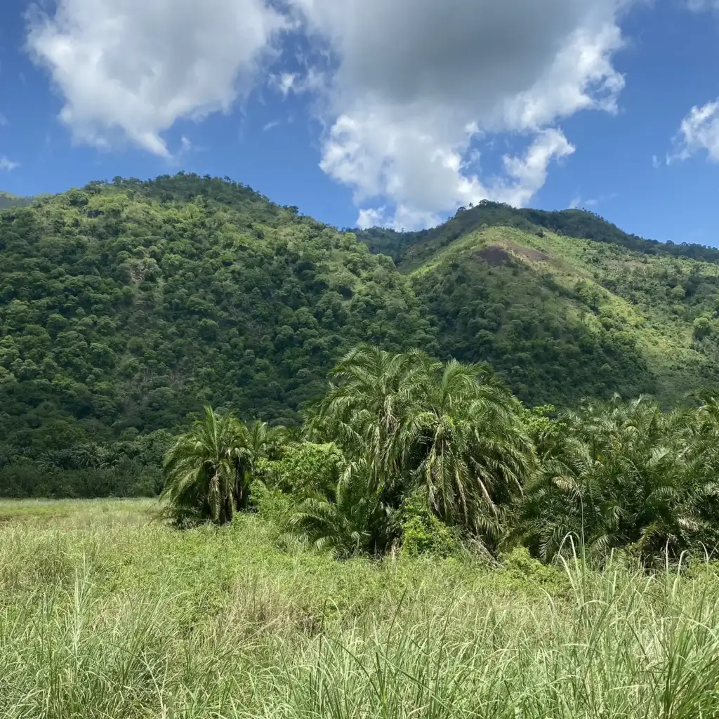 Landscape near Semuliki National Park in western Uganda