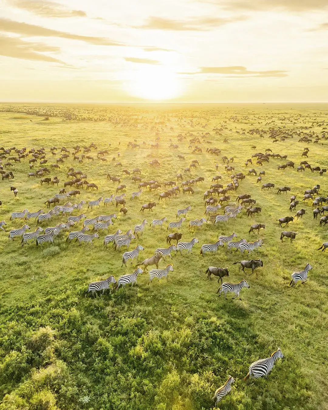 8-Day Tanzania Southern Safari: Nyerere & Ruaha